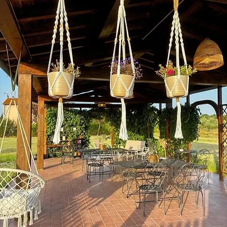 Apartment Giulia - Poggio Al Sole
